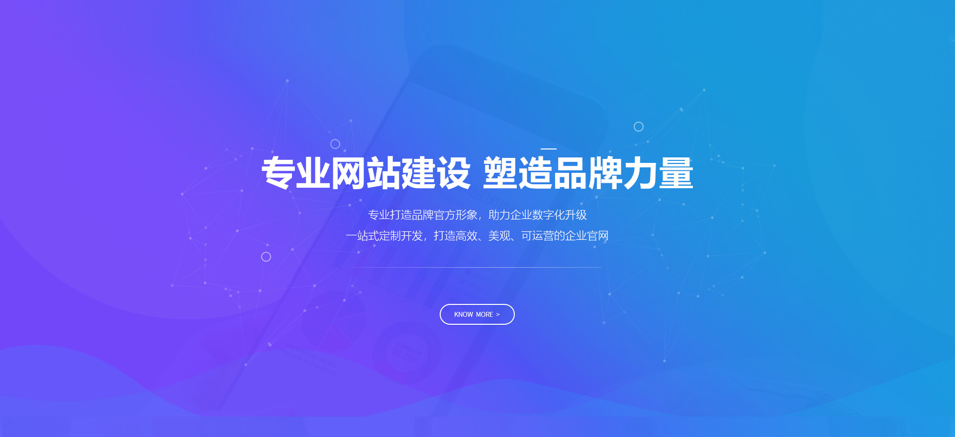 儋州建站-专业网站建设 塑造品牌力量