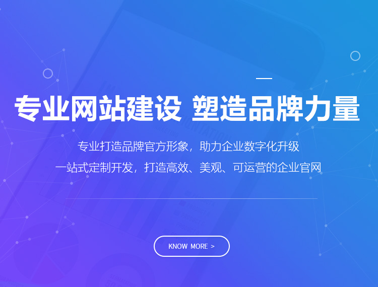 儋州建站-专业网站建设 塑造品牌力量